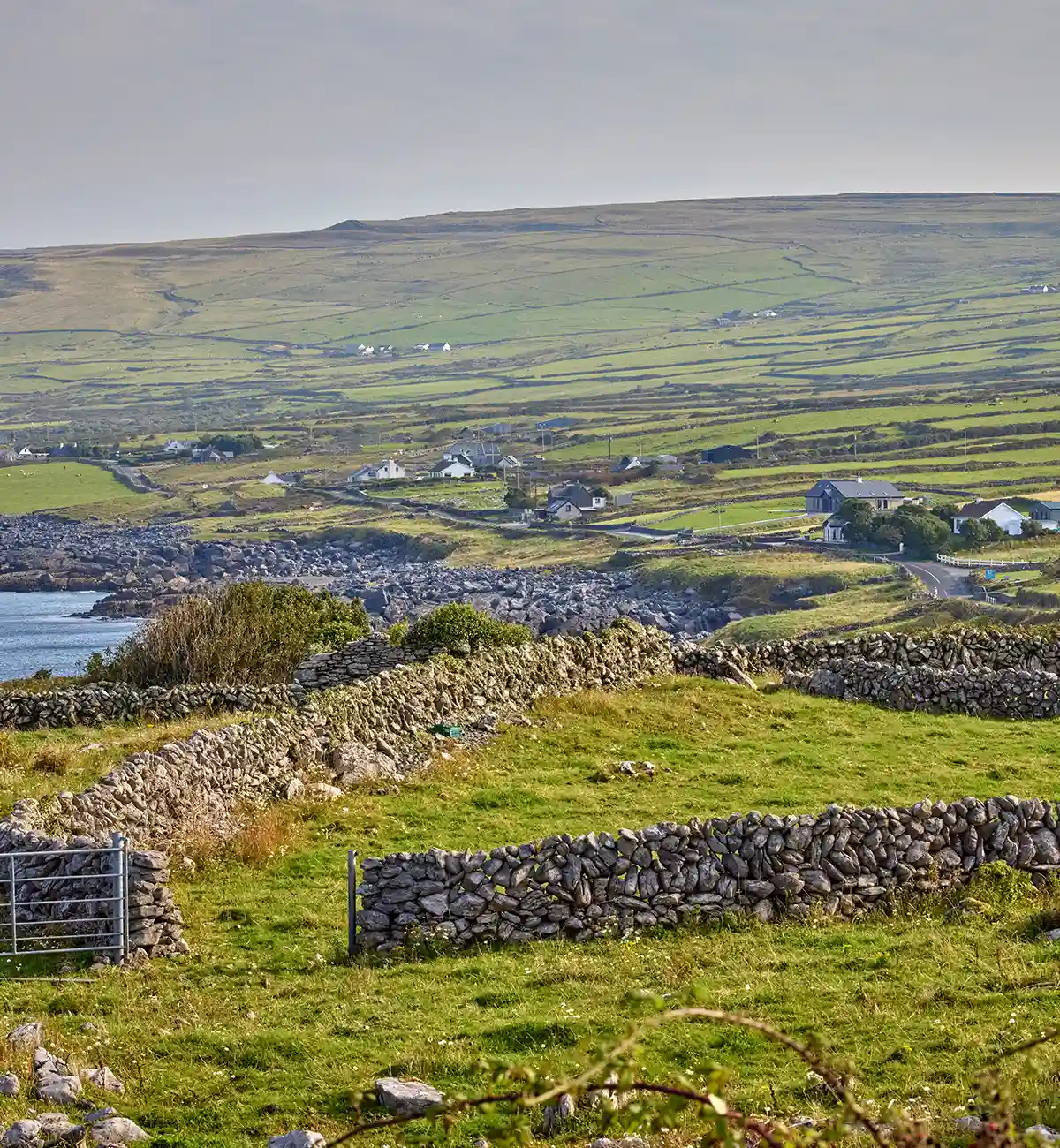 Exploring Burren
