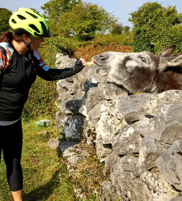 Exploring Burren